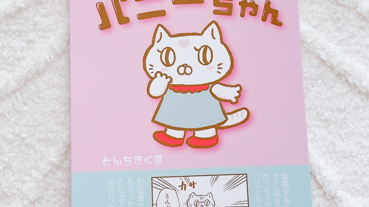 パニックねこのパニーちゃん