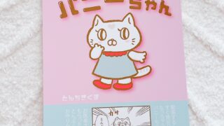パニックねこのパニーちゃん