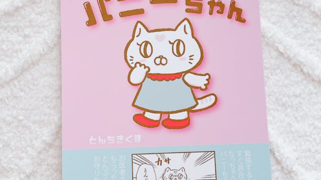 パニックねこのパニーちゃん