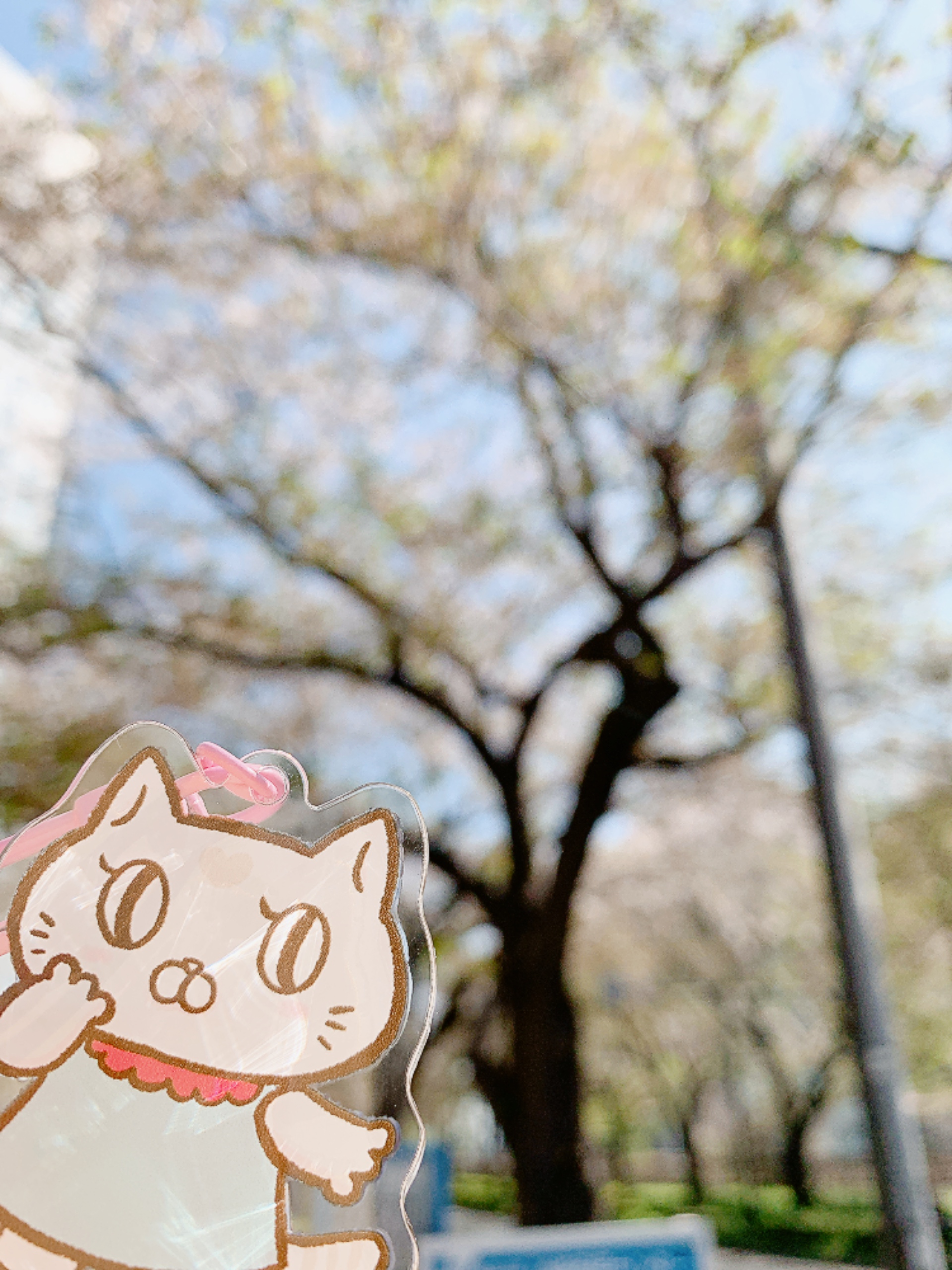 川崎